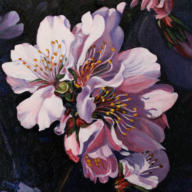 Marie Cameron Cherry Blossom Cluster 2012 
