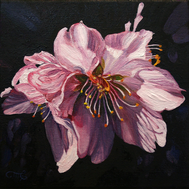Marie Cameron Cherry Blossom (A Little) Demure 2012