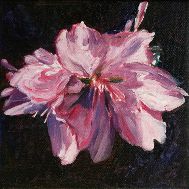 Marie Cameron Cherry Blossom in progress B 2012