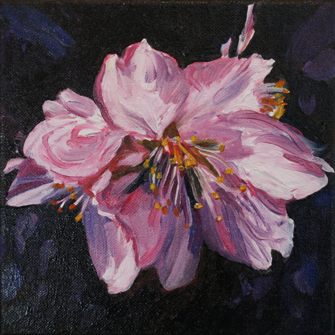 Marie Cameron Cherry Blossom in progress 2012 C   