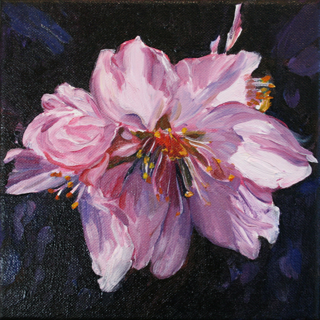 Marie Cameron Cherry Blossom in progress 2012 D