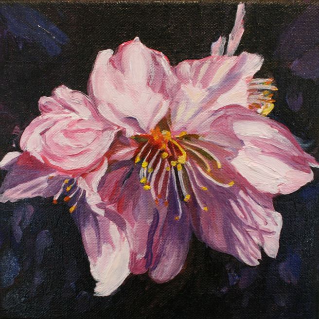 Marie Cameron Cherry Blossom in progress 2012 E