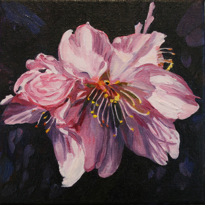 Marie Cameron Cherry Blossom In Progress 2012 F