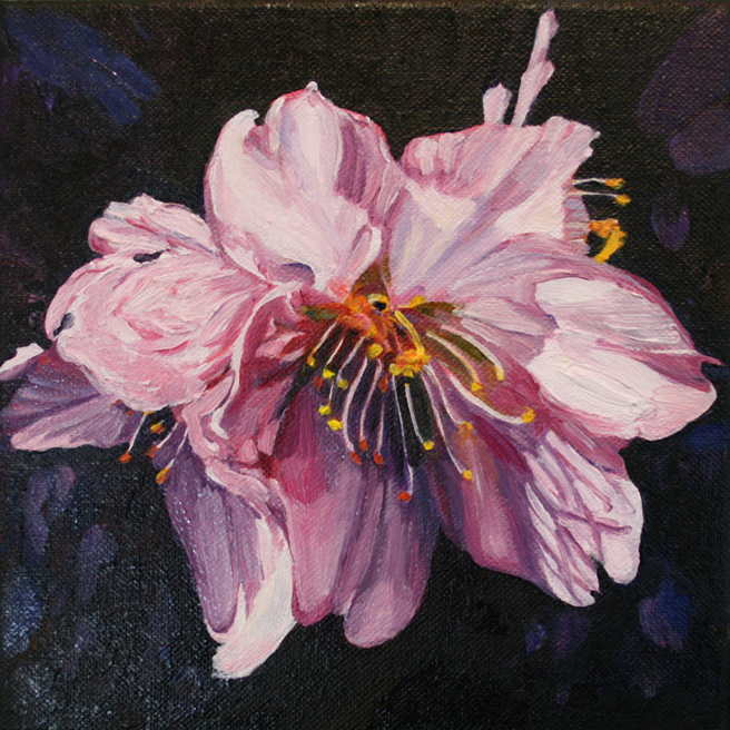 Marie Cameron Cherry Blossom in progress 2012 G