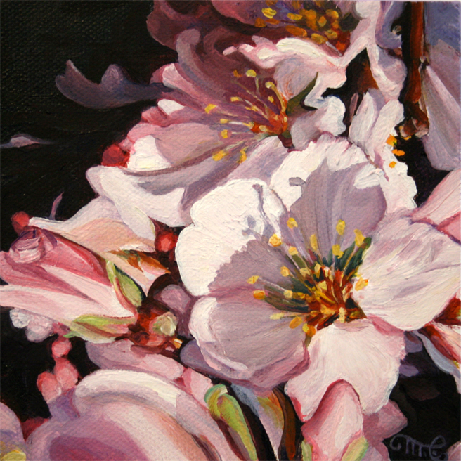 Cherry Blossom Mauve Shadow  oil on canvas by Marie Cameron 2012