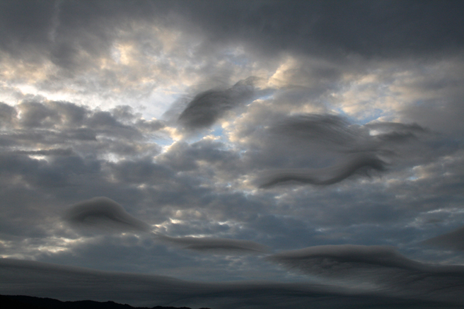 Clouds- carding grey wool Los Gatos Photo Marie Cameron 2012