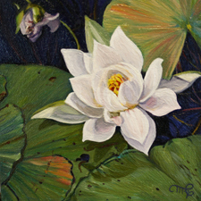 Marie Cameron Desert Lake Pond Lily I 2012 oil on canvas 6x6