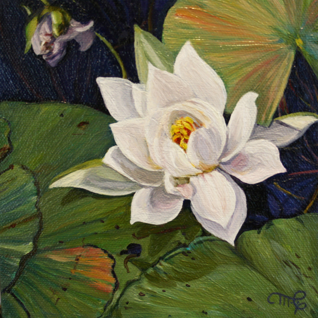 Marie Cameron Desert Lake Pond Lily I 2012 oil on canvas 6x6 commission
