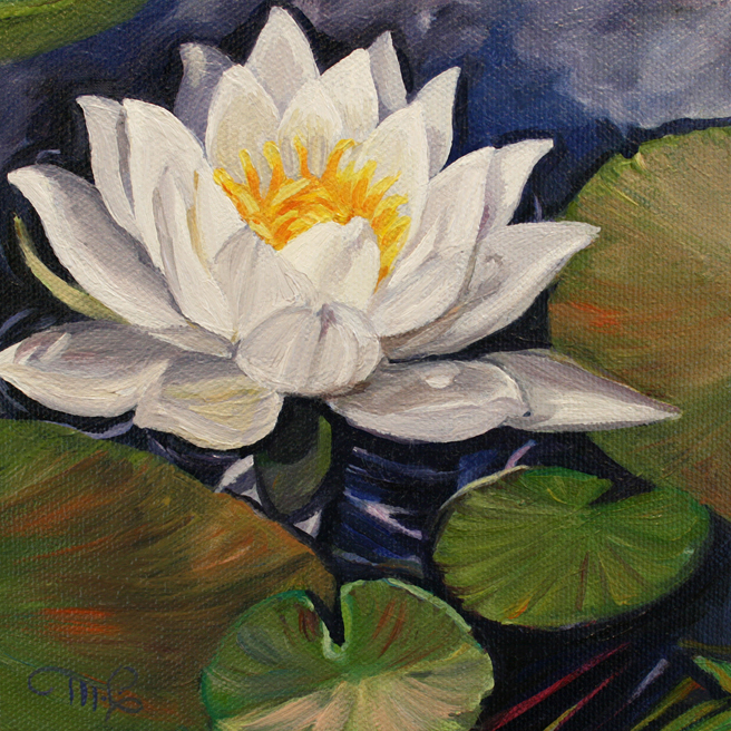 Marie Cameron Desert Lake Pond Lily II 2012 oil on canvas 6x6 commission