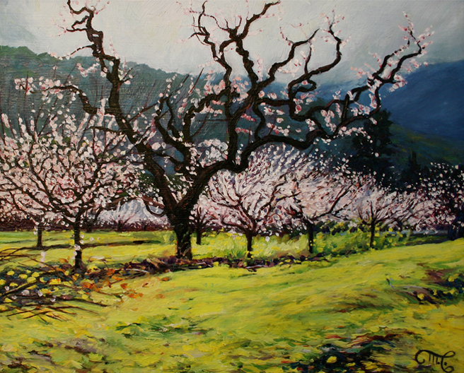 Marie Cameron Blooming Orchard 2010