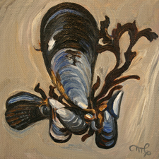 Mussel Shell Cluster by Marie Cameron 2013 oil on canvas 5" x 5"