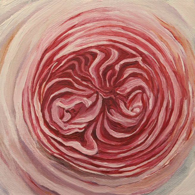 Rose Mandala II by Marie Cameron 2013 oil on canvas 5" x 5"