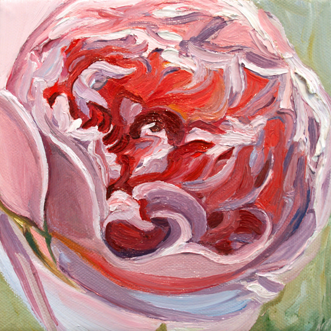 Rose Petals II by Marie Cameron 2013 oil on canvas 6" x 6"