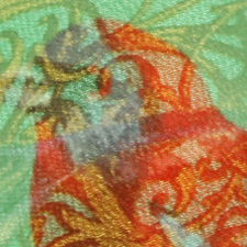 Fine-Fearthered Friends blouse 2