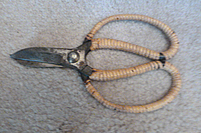 Japanese scissors wrapped
