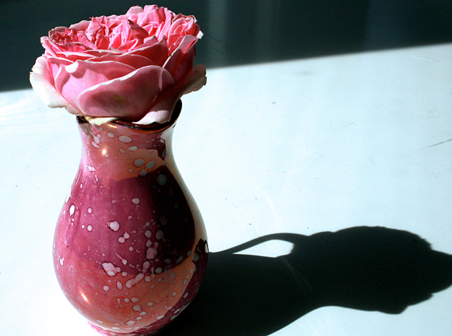 Pink Rose and Splatter Lusterware - pitcher with shadow Marie Cameron 2013