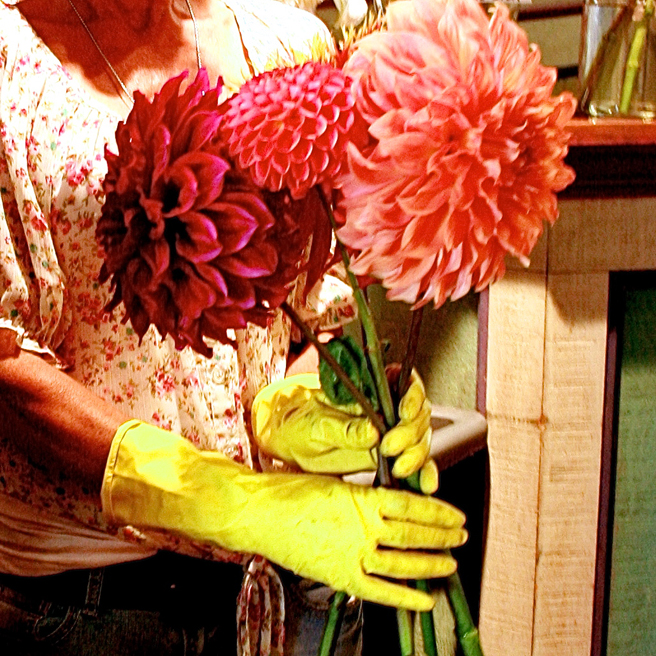 Yellow Gloves and Dahlias - Bunches Marie Cameron 2013