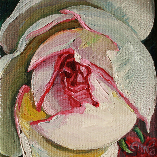 Rosebud I - Marie Cameron - oil on canvas - 4x4in 2013
