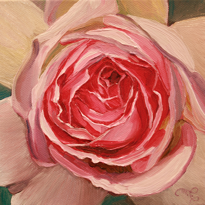Rose Petals V - Marie Cameron- oil on canvas - 6x6in - 2013