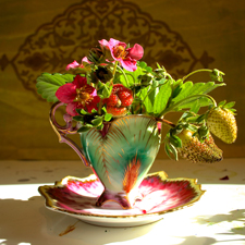 Chubu Demitasse with Strawberries (Pink and Green) - photo Marie Cameron 2014