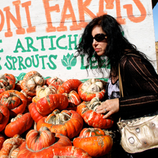 Day-tripping- picking a good one - Rodoni farms - photo OP 2014