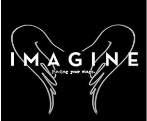 Finding Your Wings - The Imagine Bus Project