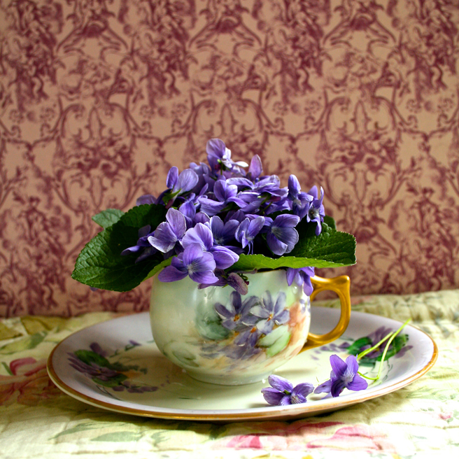 Violet Tea (sans oiseaux) III - Marie Cameron 2015