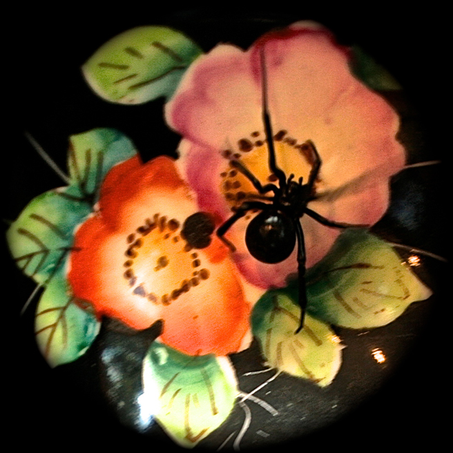 Black Widow on Teacup Roses I Photograph - Marie Cameron 2015