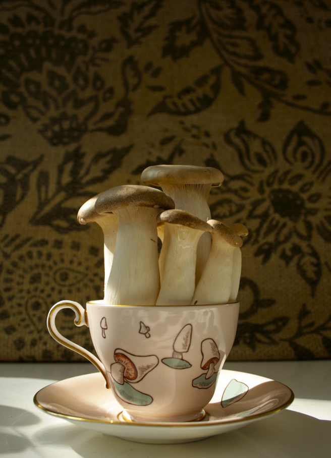 Mushroom Tea Reference 