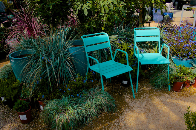 Flora Grubb Gardens - every shade of blue- photo Marie Cameron 2015